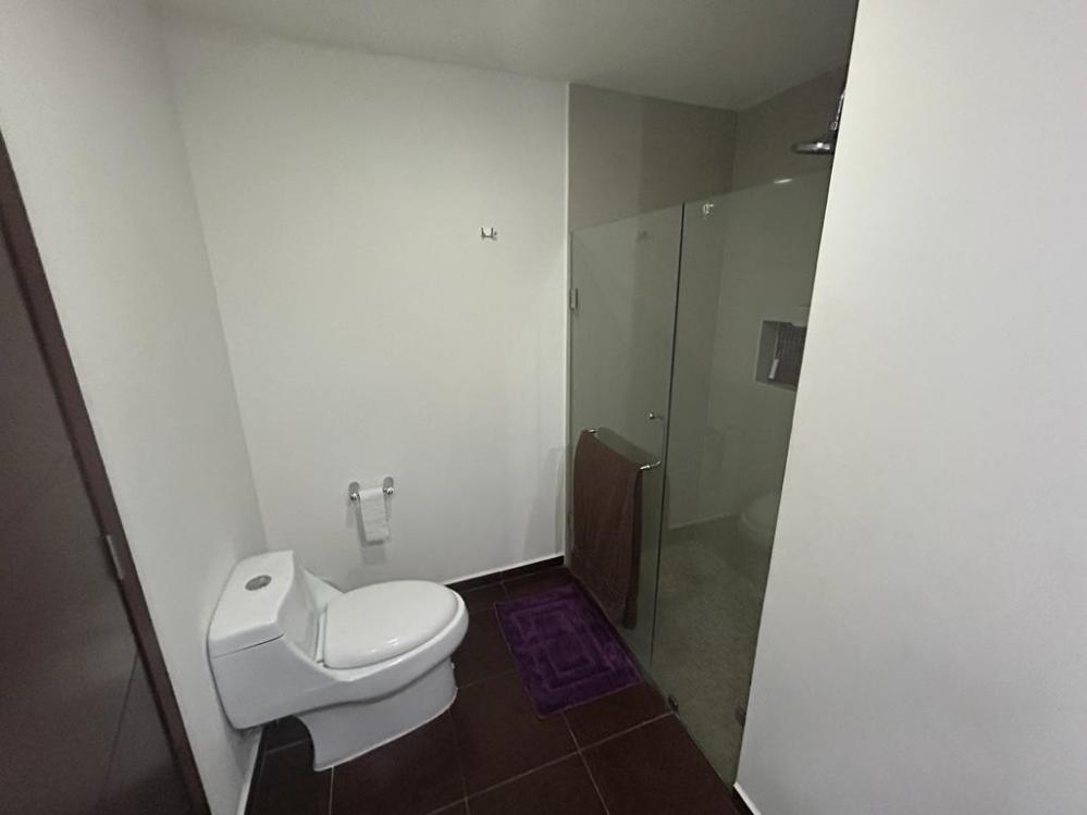 furnished apartment tower pacifika