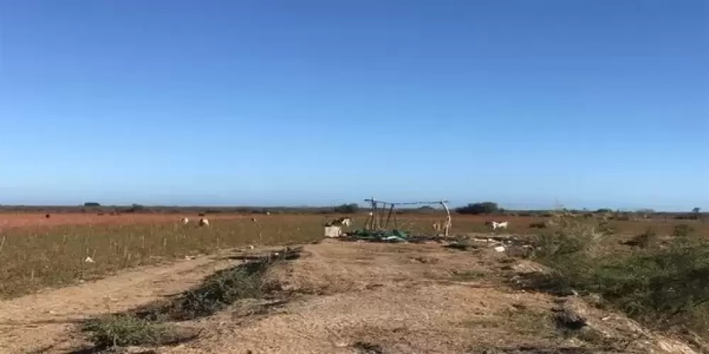 OPORTUNIDAD DE EXCELENTE INVERSIÓN EN EL WALAMO