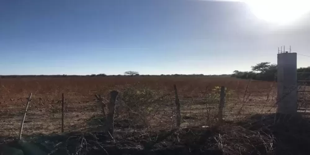 OPORTUNIDAD DE EXCELENTE INVERSIÓN EN EL WALAMO