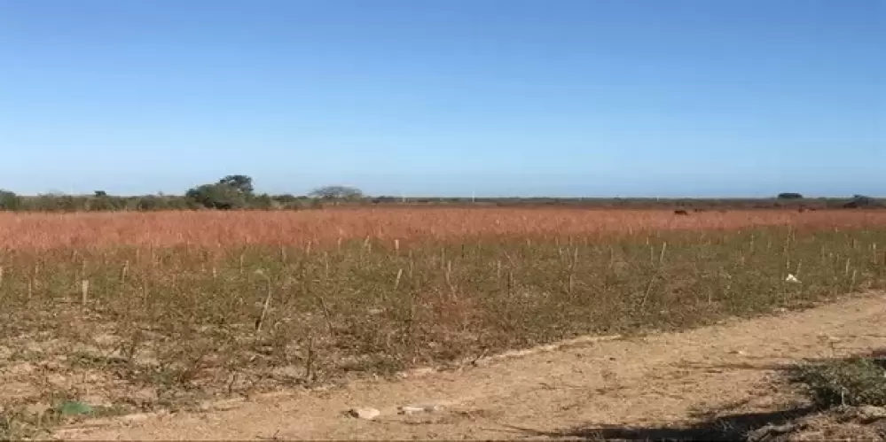 OPORTUNIDAD DE EXCELENTE INVERSIÓN EN EL WALAMO