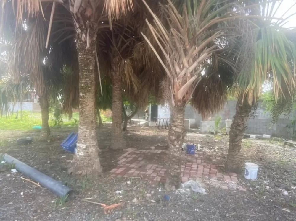 SE RENTA BODEGA Y TERRENO EN HACIENDA DE URÍAS MAZATLÁN