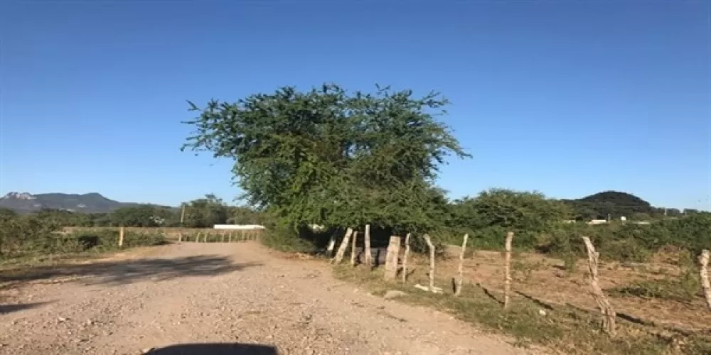 land in the oak