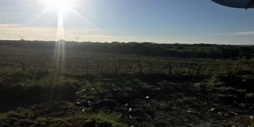 land in the oak