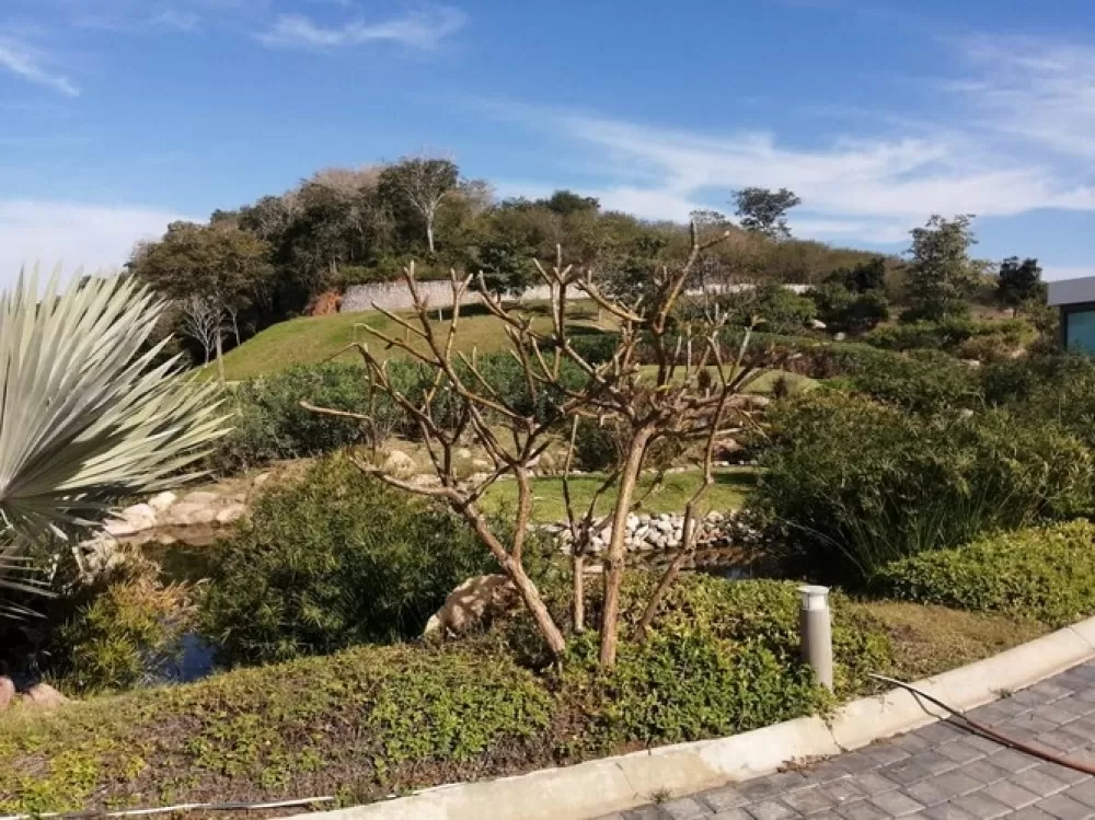 sale of lots on sea paths