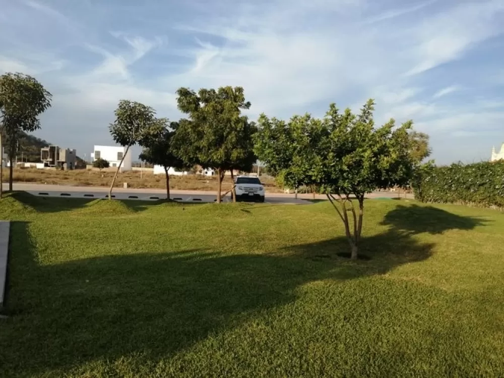 lots in residential sidewalks, 5