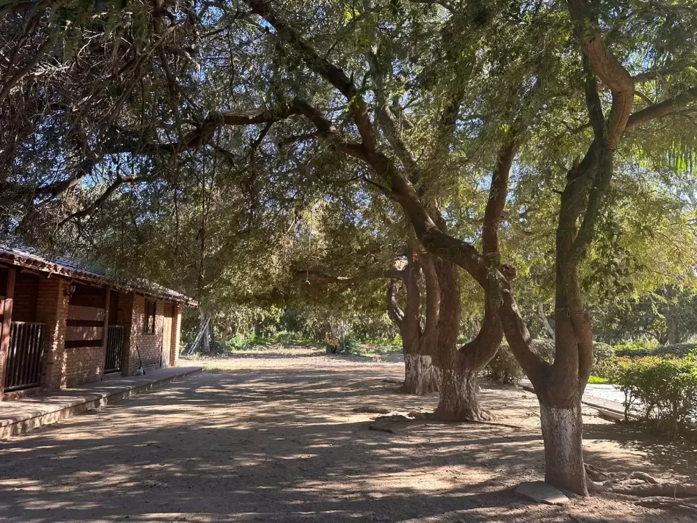 ranch in the pozole villa union