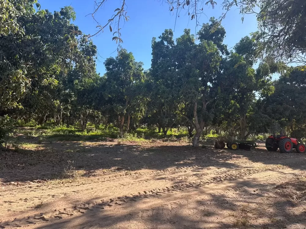 ranch in the pozole villa union