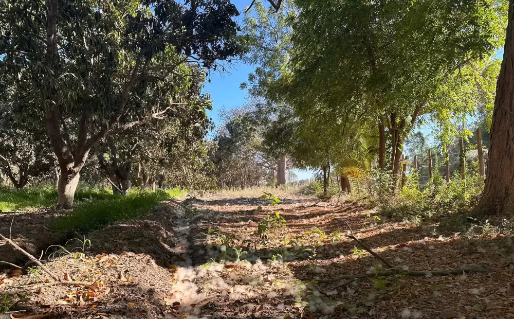 ranch in the pozole villa union